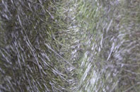 Arley fibreglass roof work